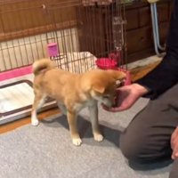 おやつを食べるみなみちゃん