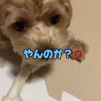 絶対に誰にも渡さない