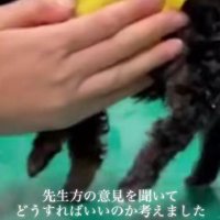 たくさん検査してみると…