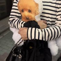 クッションを抱えて歩く女性