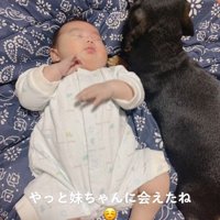 眠る赤ちゃんに寄り添うワンコ