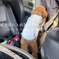 「いかないでっ」