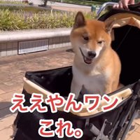 ご満悦の表情♪