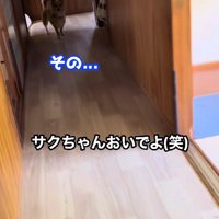 遠慮がちに二の足を踏む