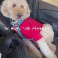 「絶対に寝ない…！！」