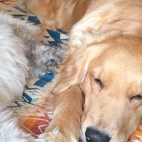 かけがえのない親友になったね