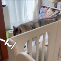 赤ちゃんが泣き出す