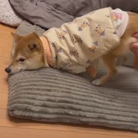 お尻を上げても効果ナシ