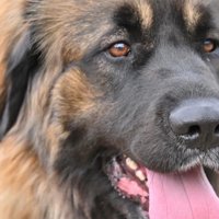 とってもかっこいい！！