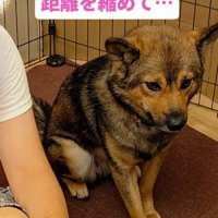 少しずつ距離を縮めて…
