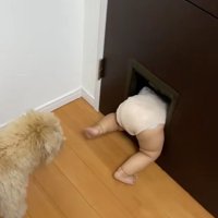 「とりあえず落ち着いて…」