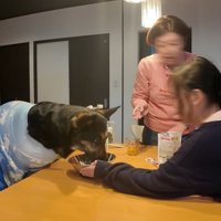 オヤツを食べさせてくれています