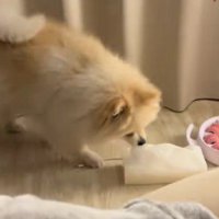 新しいティッシュを出したいときは…