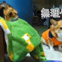 怖くて前を通れません！