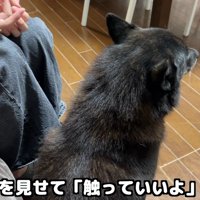 「失敗しちゃった…」