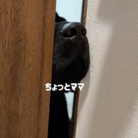 挟まっても諦めない心