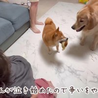 「ホラ！仲良しだよ！」