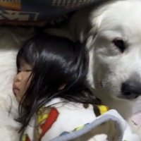 犬にもたれて眠る子ども
