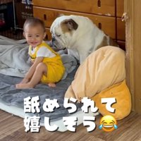舐められて笑顔になる子ども