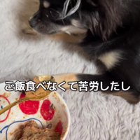ご飯を食べずに困ることも