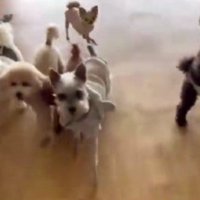 大はしゃぎのベアちゃんでした