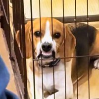 真剣な眼差しに爆笑♪