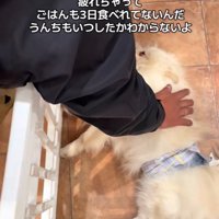 木ノ葉丸くんとの出会い4