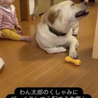 「くしゃみ出そうっ」
