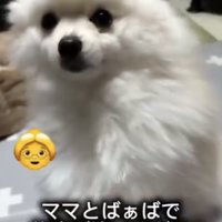 ばぁばのナデナデ時