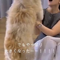 子犬を見て笑顔になる女性
