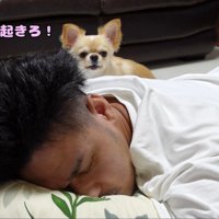 「いい加減起きろっ」