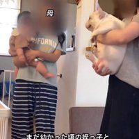 同じ大きさのふたり