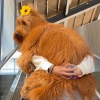 「これならどこへでも行ける！」