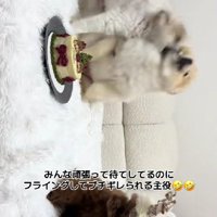 はるたちゃんがブチギレ！！