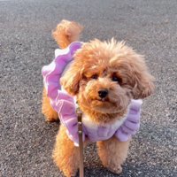 友達が増えて嬉しいね！