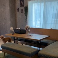ママを見る2匹
