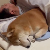 腕を折りたたむ