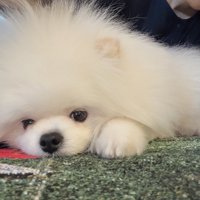 赤ちゃん