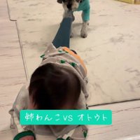 小町ちゃんの出番です！！