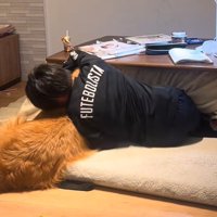 犬吸い