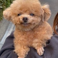 抱っこで散歩も幸せ♡