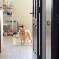文句