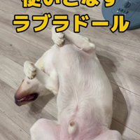 扇風機を使いこなす