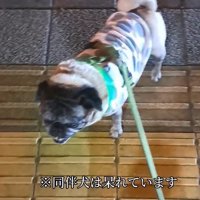 「まだ終わらないの？」