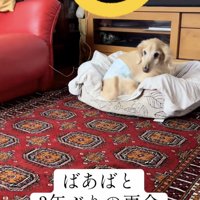 よいしょ、よいしょ…！