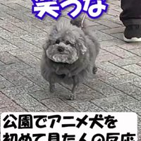 街中での反応は？