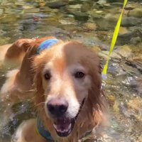 川遊びでニコニコ♡