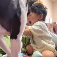 赤ちゃんが泣いた時のごろちゃん4