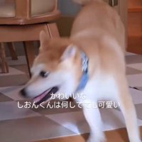 思わずほっこり♡