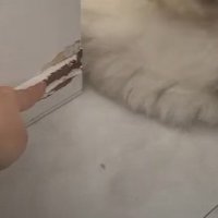 壁を壊したのは…